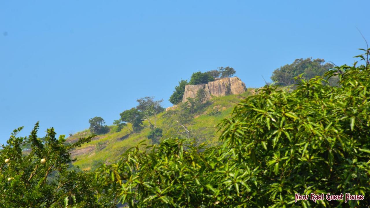 New Rasi Guest House Dambulla Exterior photo